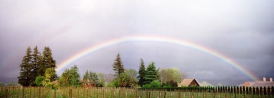 Rainbow over Sonoma Vineyards - KP Photo