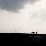 Farmer plowing field in Neubrandenburg